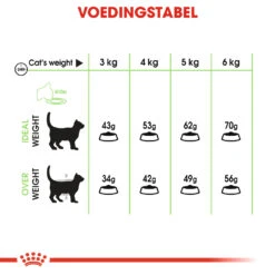 Royal Canin Digestive Care Kattenvoer 4kg -Dierbenodigdheden Verkoop 008fe126cdda42e3c6aed5745a0f97752d50468c1cd349557e62f9199c7ffafa 1
