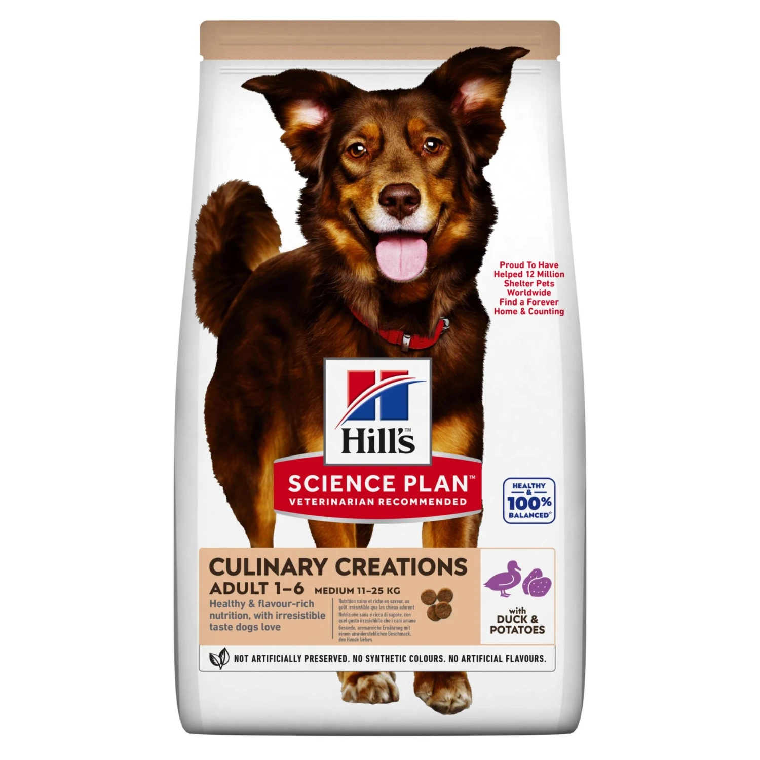 Hill's Science Plan Culinary Creations Eend En Aardappel Medium Hond 2,5kg 1 Hill's Science Plan Culinary Creations Eend En Aardappel Medium Hond 2,5kg