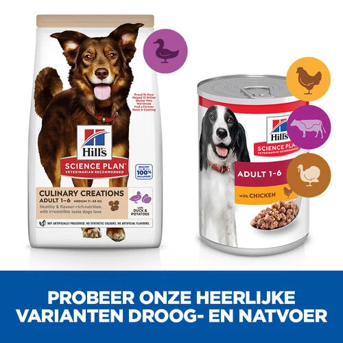Hill's Science Plan Culinary Creations Eend En Aardappel Medium Hond 2,5kg 4 Hill's Science Plan Culinary Creations Eend En Aardappel Medium Hond 2,5kg - Afbeelding 4