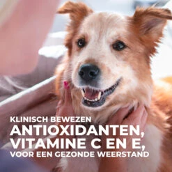 Hill's Science Plan Culinary Creations Eend En Aardappel Medium Hond 14kg 14 Hill's Science Plan Culinary Creations Eend En Aardappel Medium Hond 14kg -Dierbenodigdheden Verkoop 052742054735 7 NL 1