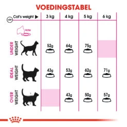 Royal Canin Protein Exigent Kat 4kg 5 Royal Canin Protein Exigent Kat 4kg -Dierbenodigdheden Verkoop 0940f9380e24fd6977e0166039f34726c27c9abe12319f295b4029f84f5c8e3e 1