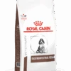 Royal Canin Gastro Intestinal Junior - Hondenvoer - 10kg