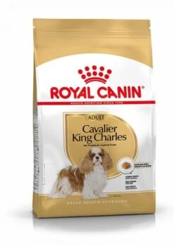 Nieuwe Producten 17 Royal Canin Cavalier King Charles Adult - Hondenvoer - 7,5 Kg