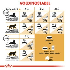 Royal Canin Sphynx 33 - Kattenvoer - 10kg 11 Royal Canin Sphynx 33 - Kattenvoer - 10kg -Dierbenodigdheden Verkoop 29928a8be3d06a44d946ef033ca054e9e16c4cc635ad93e245cceaa6367db813 1