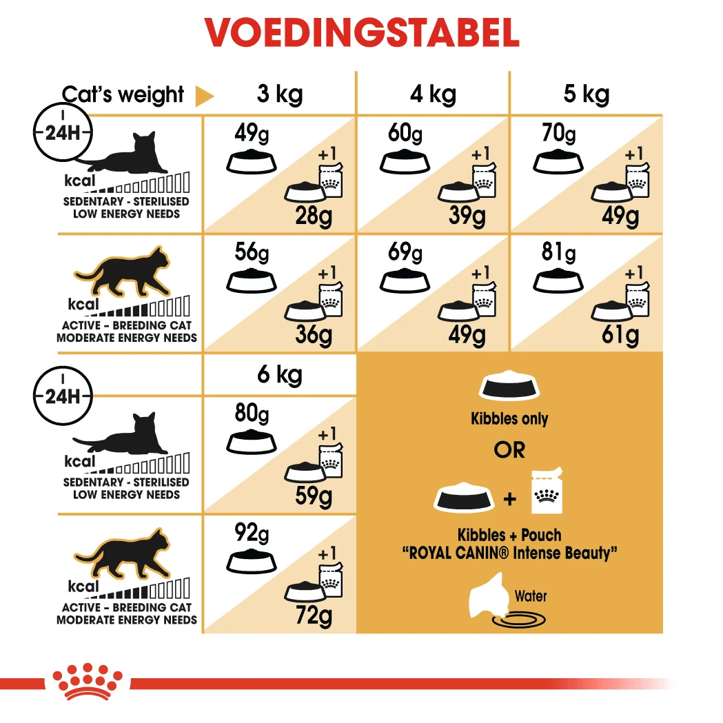 Royal Canin Sphynx 33 - Kattenvoer - 10kg 2 Royal Canin Sphynx 33 - Kattenvoer - 10kg - Afbeelding 2