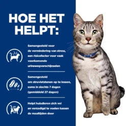 Hill's Prescription Diet C/d Multicare Stress + Metabolic Kattenvoer Met Kip 8kg -Dierbenodigdheden Verkoop 52742037417 3 NL 1