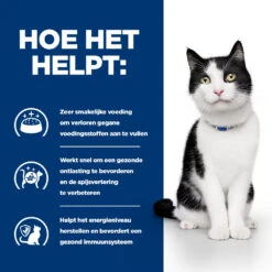 Hill's Hill’s Prescription Diet I/D – Kattenvoer Met Kip – Maaltijdzakjes 12x85g 10 Hill's Hill’s Prescription Diet I/D – Kattenvoer Met Kip – Maaltijdzakjes 12x85g -Dierbenodigdheden Verkoop 52742040745 3 NL