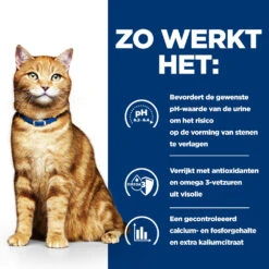 Hill's Prescription Diet C/d Multicare Urinary Care Kattenvoer Met Kip 3kg 9 Hill's Prescription Diet C/d Multicare Urinary Care Kattenvoer Met Kip 3kg -Dierbenodigdheden Verkoop 52742042121 2 NL