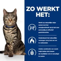 Hill's Prescription Diet Metabolic Weight Management Kattenvoer Met Kip 3kg 9 Hill's Prescription Diet Metabolic Weight Management Kattenvoer Met Kip 3kg -Dierbenodigdheden Verkoop 52742047249 2 NL 1