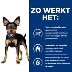 Hill's Prescription Diet Metabolic Kip- En Groentenstoofpotje Voor Hond 24x156g -Dierbenodigdheden Verkoop 52742047331 2 NL