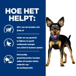 Hill's Prescription Diet Metabolic Kip- En Groentenstoofpotje Voor Hond 24x156g -Dierbenodigdheden Verkoop 52742047331 3 NL