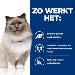 Hill's Prescription Diet R/d Weight Reduction Kattenvoer Met Kip 3kg 9 Hill's Prescription Diet R/d Weight Reduction Kattenvoer Met Kip 3kg -Dierbenodigdheden Verkoop 52742048185 2 NL