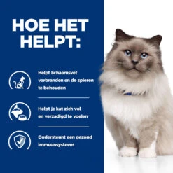 Hill's Prescription Diet R/d Weight Reduction Kattenvoer Met Kip 3kg 10 Hill's Prescription Diet R/d Weight Reduction Kattenvoer Met Kip 3kg -Dierbenodigdheden Verkoop 52742048185 3 NL