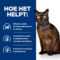 Hill's Hill’s Prescription Diet M/D – Kattenvoer Met Kip – 1,5kg 10 Hill's Hill’s Prescription Diet M/D – Kattenvoer Met Kip – 1,5kg -Dierbenodigdheden Verkoop 52742048208 3 NL