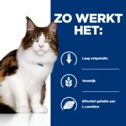 Hill's Prescription Diet W/D Multibenefit Voor Kat 12x85g -Dierbenodigdheden Verkoop 52742053783 2 NL