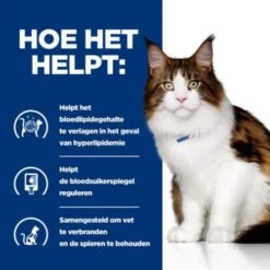 Hill's Prescription Diet W/D Multibenefit Voor Kat 12x85g -Dierbenodigdheden Verkoop 52742053783 3 NL