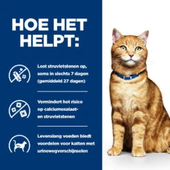 Hill's Hill’s Prescription Diet C/D – Kattenvoer Met Kip – Maaltijdzakjes 12x85g 10 Hill's Hill’s Prescription Diet C/D – Kattenvoer Met Kip – Maaltijdzakjes 12x85g -Dierbenodigdheden Verkoop 52742118819 3 NL