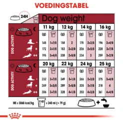 Royal Canin Medium Ageing 10+ Hondenvoer 10x 140g -Dierbenodigdheden Verkoop 658cd0070fe8656d49127926637c4755119021204d9a36ef53ccdb1c5650d350 1