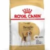 Royal Canin Beagle Adult - Hondenvoer - 12kg
