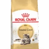 Royal Canin Maine Coon 4kg