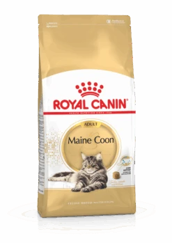 Nieuwe Producten 4 Royal Canin Maine Coon 4kg