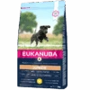 Eukanuba Junior Large Breeds - Hondenvoer Met Kip - 15kg