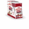 Royal Canin Medium Ageing 10+ Hondenvoer 10x 140g