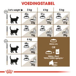Royal Canin Ageing 12+ Kat 4kg 5 Royal Canin Ageing 12+ Kat 4kg -Dierbenodigdheden Verkoop 9ceb39e837ba7480077b21230bc47074a9280873228e651612153a1f21d0b998 1