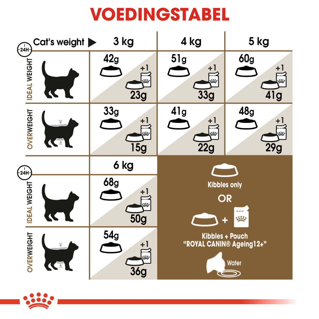 Royal Canin Ageing 12+ Kat 4kg 3 Royal Canin Ageing 12+ Kat 4kg - Afbeelding 3