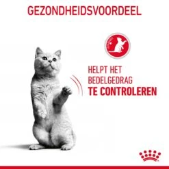 Royal Canin Appetite Control Kattenvoer 2kg 18 Royal Canin Appetite Control Kattenvoer 2kg -Dierbenodigdheden Verkoop Royal Canin Appetite Control Care Kat NL 07 1