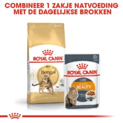 Royal Canin Bengal Adult Kattenvoer 2kg -Dierbenodigdheden Verkoop Royal Canin Bengal Kat NL 6