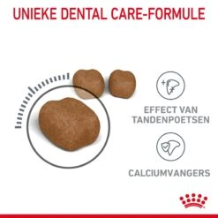 Royal Canin Dental Care Kattenvoer 3,5kg -Dierbenodigdheden Verkoop Royal Canin Dental Care Kat NL 04
