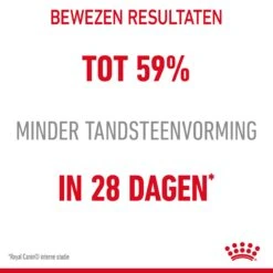 Royal Canin Dental Care Kattenvoer 3,5kg -Dierbenodigdheden Verkoop Royal Canin Dental Care Kat NL 05