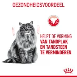 Royal Canin Dental Care Kattenvoer 3,5kg -Dierbenodigdheden Verkoop Royal Canin Dental Care Kat NL 06