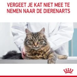 Royal Canin Dental Care Kattenvoer 3,5kg -Dierbenodigdheden Verkoop Royal Canin Dental Care Kat NL 10