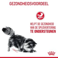 Royal Canin Digestive Care Kattenvoer 4kg -Dierbenodigdheden Verkoop Royal Canin Digestive Care Kat NL 07 1