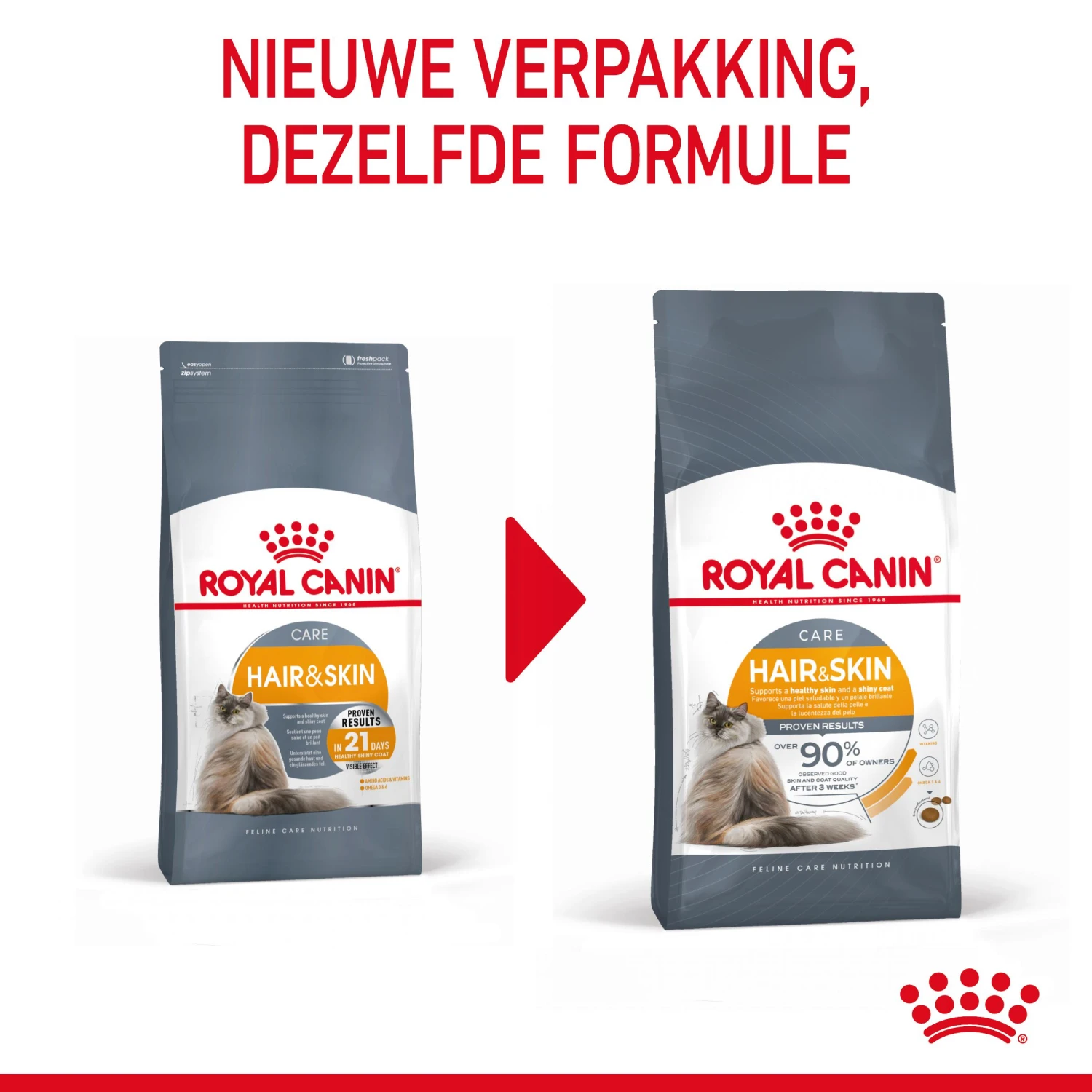Royal Canin Hair & Skin Care Kattenvoer 2kg 3 Royal Canin Hair & Skin Care Kattenvoer 2kg - Afbeelding 3