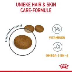 Royal Canin Hair & Skin Care Kattenvoer 2kg 16 Royal Canin Hair & Skin Care Kattenvoer 2kg -Dierbenodigdheden Verkoop Royal Canin Hair Skin Care Kat NL 05