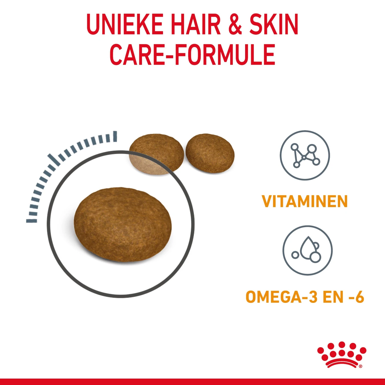 Royal Canin Hair & Skin Care Kattenvoer 2kg 5 Royal Canin Hair & Skin Care Kattenvoer 2kg - Afbeelding 5