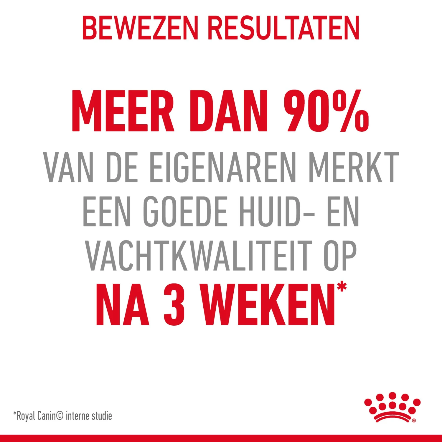 Royal Canin Hair & Skin Care Kattenvoer 2kg 6 Royal Canin Hair & Skin Care Kattenvoer 2kg - Afbeelding 6