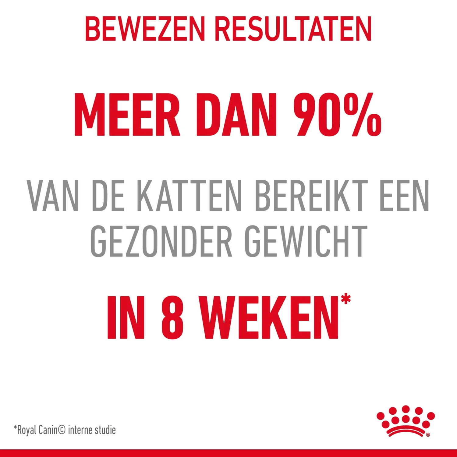 Royal Canin Light Weight Care Kattenvoer 8kg 6 Royal Canin Light Weight Care Kattenvoer 8kg - Afbeelding 6