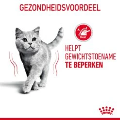 Royal Canin Light Weight Care Kattenvoer 8kg 18 Royal Canin Light Weight Care Kattenvoer 8kg -Dierbenodigdheden Verkoop Royal Canin Light Weight Care Kat NL 07