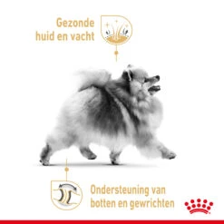 Royal Canin Pomeranian Adult Hondenvoer 12x85g -Dierbenodigdheden Verkoop Royal Canin Pomeranian Natvoer NL 3