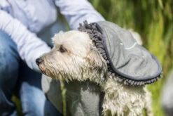 Trixie Handdoek Microvezel 78 × 32 Cm Grijs 5 Trixie Handdoek Microvezel 78 × 32 Cm Grijs -Dierbenodigdheden Verkoop TRIXIE20TOWEL20MICROFIBER207820C397203220CM20GREY28329