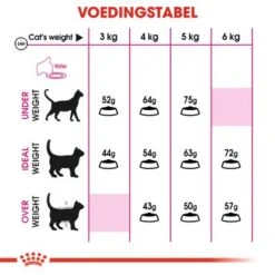 Royal Canin Aroma Exigent Kattenvoer 2kg -Dierbenodigdheden Verkoop a2196c835232e23eecabd05c83f024d253a33c473edb092041e702285d61dfda 1