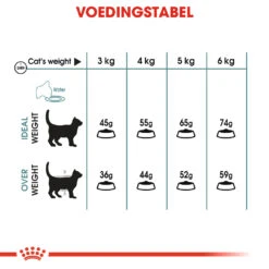 Royal Canin Hairball Care Kattenvoer 4kg -Dierbenodigdheden Verkoop a6429b34ce9eae3431797e8fb50e7a4cc6e5ce70819985e3a6328d593f792e7f