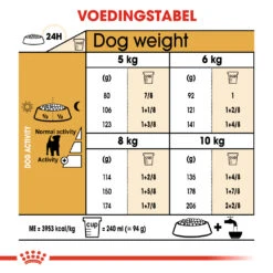 Royal Canin Jack Russell Adult - Hondenvoer - 1,5kg 5 Royal Canin Jack Russell Adult - Hondenvoer - 1,5kg -Dierbenodigdheden Verkoop ad90d20e8be659a05b8d6ea3d9c84a4959dbd6443649feb4970eb79fc6868336 1