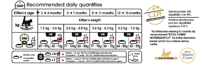 Royal Canin Maine Coon Kitten Kat 10kg 2 Royal Canin Maine Coon Kitten Kat 10kg - Afbeelding 2