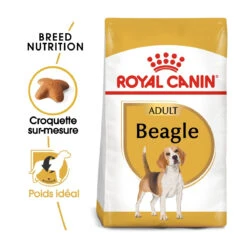 Royal Canin Beagle Adult - Hondenvoer - 12kg -Dierbenodigdheden Verkoop royal canin beagle adult beagle adulte 1