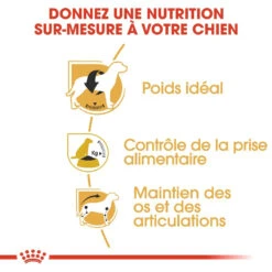 Royal Canin Beagle Adult - Hondenvoer - 12kg -Dierbenodigdheden Verkoop royal canin beagle adult beagle adulte 2